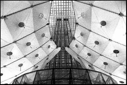 As above, reverse view