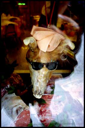 pighead.jpg