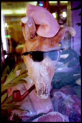 pighead2.jpg
