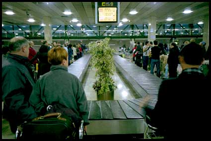 carousel.jpg