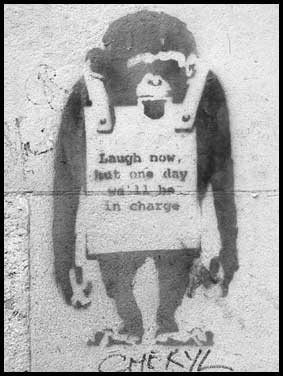 chimp.jpg
