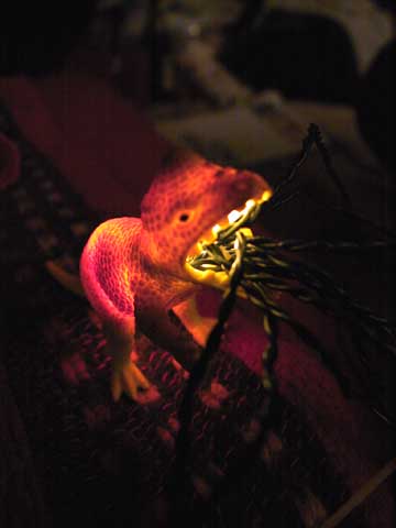 Glowing Dinosaur