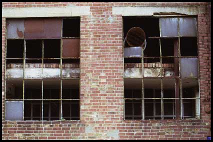 stevewindow1.jpg
