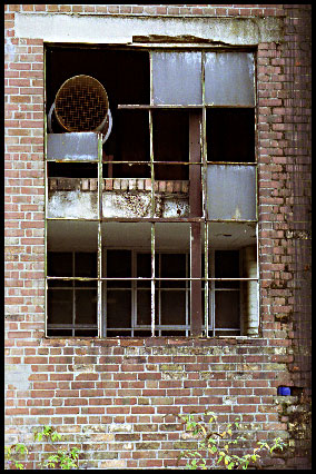 stevewindow2.jpg