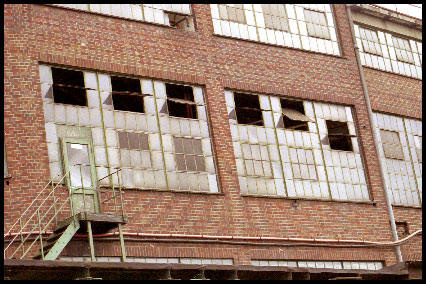 stevewindow3.jpg