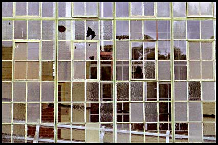 windows.jpg